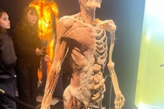 bodies