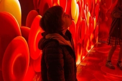 WhatsApp-Image-2024-09-12-at-3.19.56-PM-1