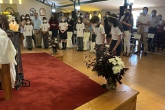 366F456A-69EE-42A3-9F9E-F431EF436299_1_105_c