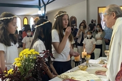 3AB31231-3DCF-4C63-B5F7-257F27FE9F86_1_105_c