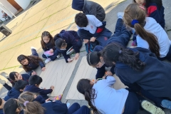 2os-basicos3