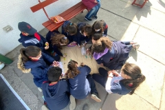 En-el-colegio-chicos6