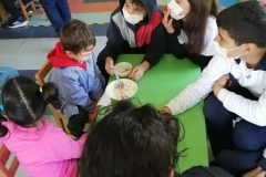 Jardin-infantil-Reina-de-la-Paz-6oB12