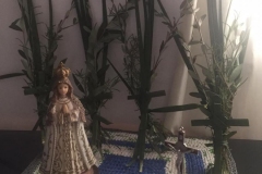 Domingo de Ramos 2020