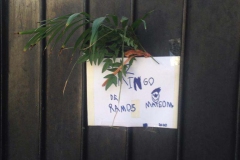 Domingo de Ramos 2020