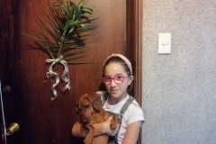 WhatsApp-Image-2020-04-09-at-17.28.46