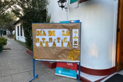 WhatsApp-Image-2024-05-22-at-10.24.48-AM