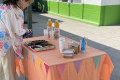 Cierre-mes-de-la-familia-colegio-SSCC-Providencia-Monjas-Franceass26