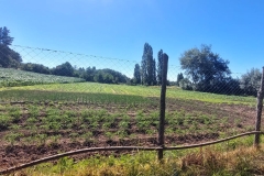 Misiones-Pemuco-2024-SSCC1