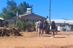 Misiones-Pemuco-2024-SSCC4