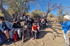 WhatsApp-Image-2026-04-27-at-4.33.52-PM2