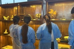 WhatsApp-Image-2025-10-29-at-1.59.49-PM-1 WhatsApp-Image-2025-10-29-at-1.59.49-PM-1