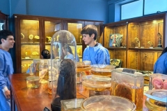 WhatsApp-Image-2025-10-29-at-1.59.49-PM-3 WhatsApp-Image-2025-10-29-at-1.59.49-PM-3