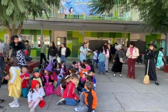 WhatsApp-Image-2026-04-24-at-11.30.18-AM-4