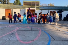 WhatsApp-Image-2026-04-24-at-11.30.19-AM