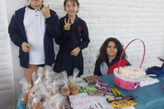 solidario
