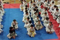 Taekwondo-Campeonato1