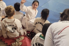 Taekwondo-Campeonato2