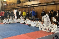 Taekwondo-Campeonato3