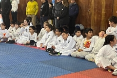 Taekwondo-Campeonato9