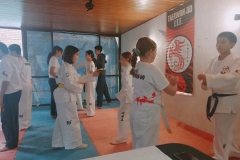 Taekwondo-examen4