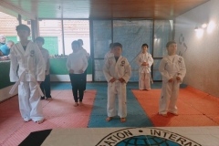 Taekwondo-examen5