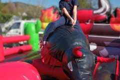 IMG-20230915-WA0180