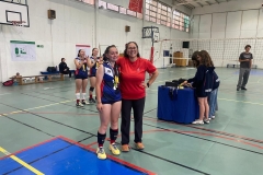 voley
