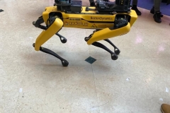 WhatsApp-Image-2023-11-24-at-11.22.52-AM-9