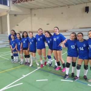 Triunfo selección de voleibol