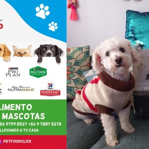 plantilla foto Pet Food Click