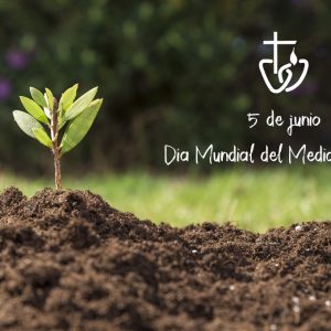 medio-ambiente Día Mundial del Medio Ambiente