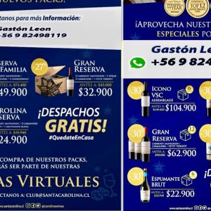 plantilla foto WINELIBERY