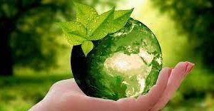 medioambiente Día del Medioambiente en nuestro colegio