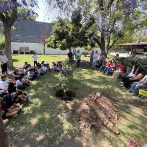 Liquidámbar Amanda6 Un liquidámbar recordará a Amanda Ibáñez en nuestro colegio