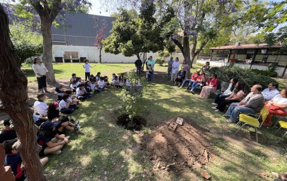 Un liquidámbar recordará a Amanda Ibáñez en nuestro colegio