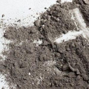 Papa Francisco en mensaje de Cuaresma: “A Jesús hemos de seguirlo juntos”