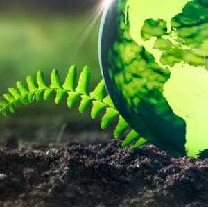 Ganadores concurso video Día de la Tierra