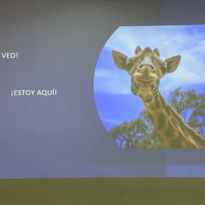 _Humanizando mi espacio de trabajo sscc Providencia 2023 coaching8 ¡Te veo! ¡Estoy aquí!