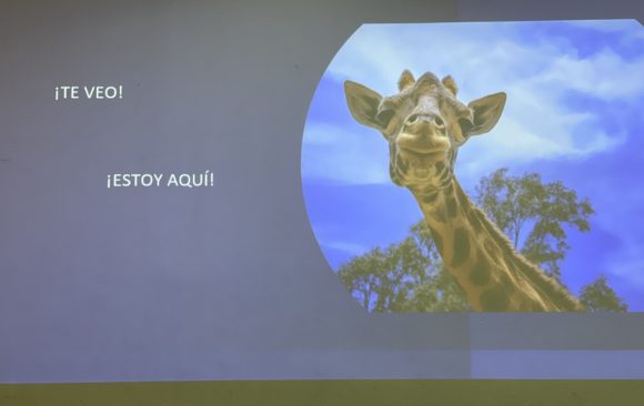 ¡Te veo! ¡Estoy aquí!